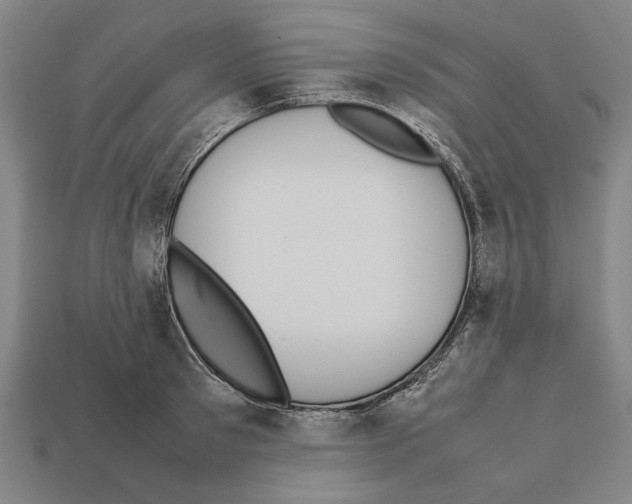 X0000112400897200909251433