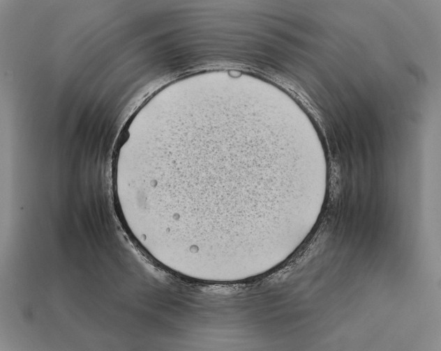 X0000112400898200909251433