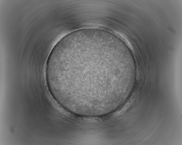X0000112400899200909251433