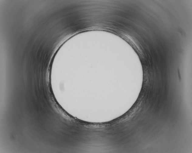 X0000112400900200909251433