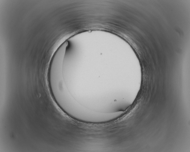 X0000112400901200909251433