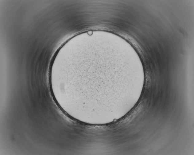 X0000112400902200909251433