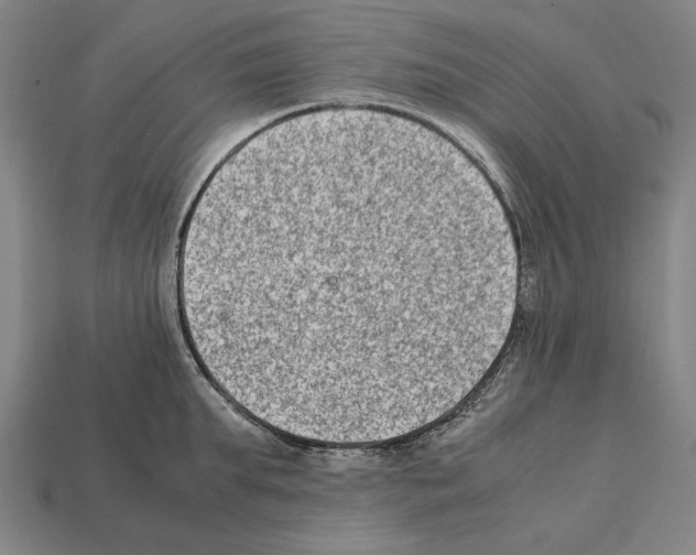 X0000112400903200909251433