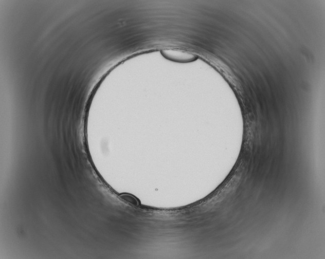X0000112400904200909251433