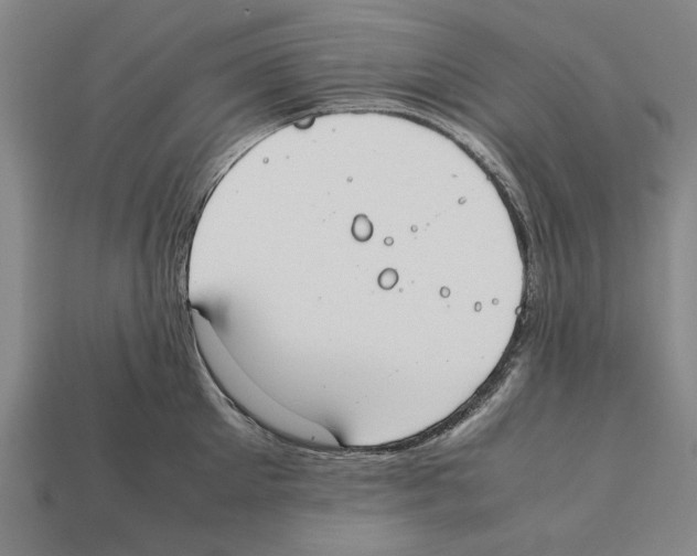 X0000112400905200909251433