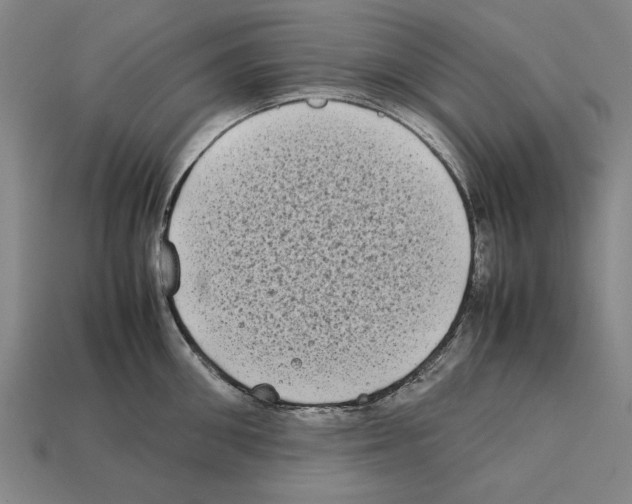 X0000112400906200909251433