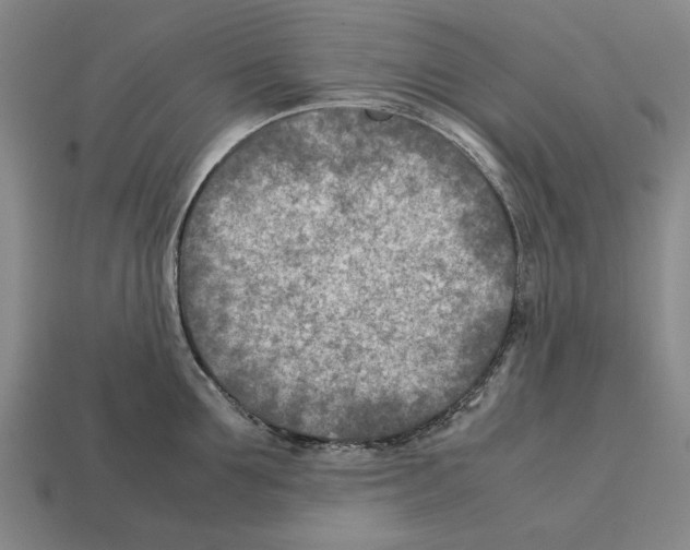 X0000112400907200909251433