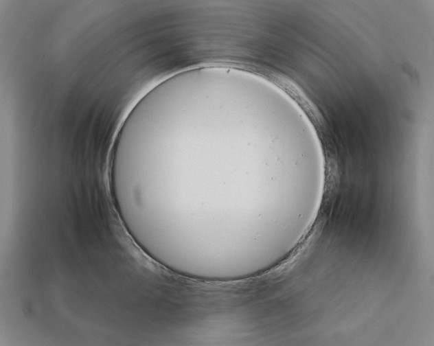 X0000112400908200909251433