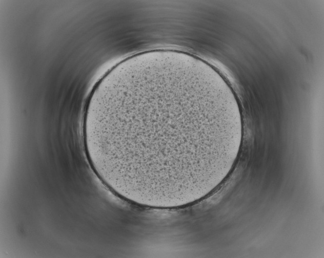 X0000112400910200909251433