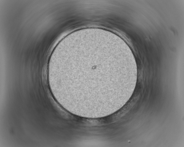 X0000112400911200909251433