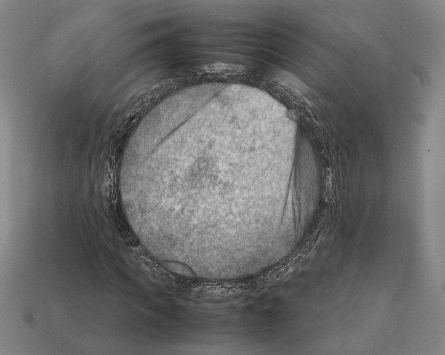 X0000112400917200909251433