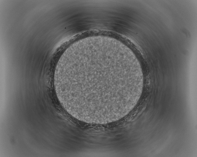 X0000112400919200909251433