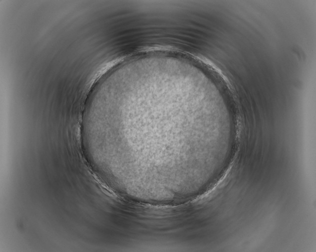 X0000112400921200909251433