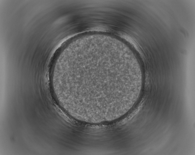 X0000112400923200909251433