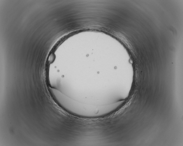 X0000112400924200909251433