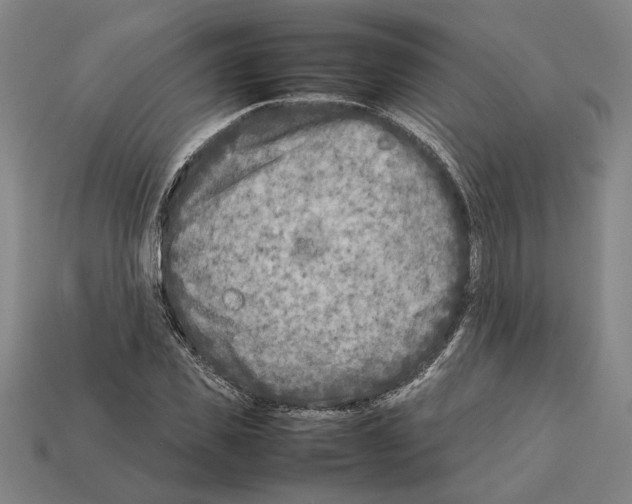 X0000112400925200909251433