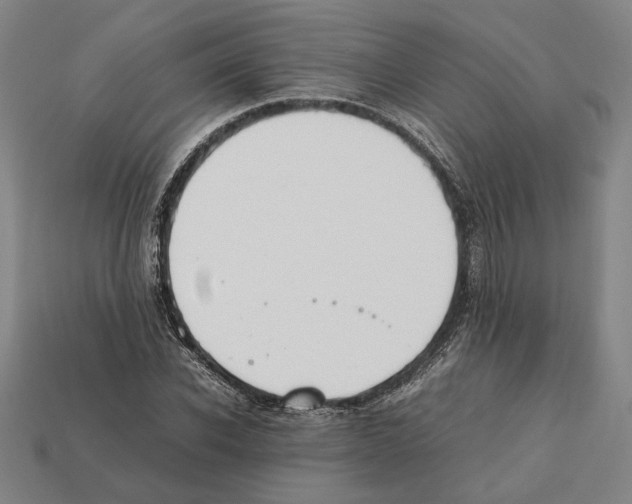 X0000112400926200909251433