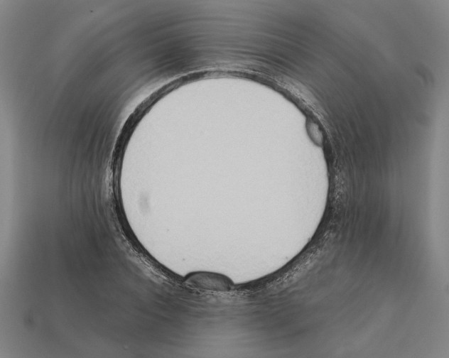X0000112400928200909251433