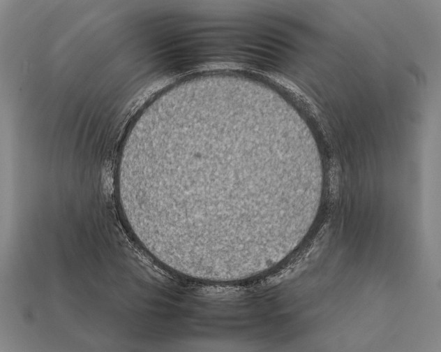 X0000112400929200909251433