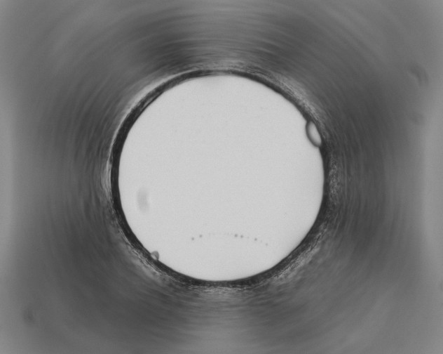 X0000112400932200909251433