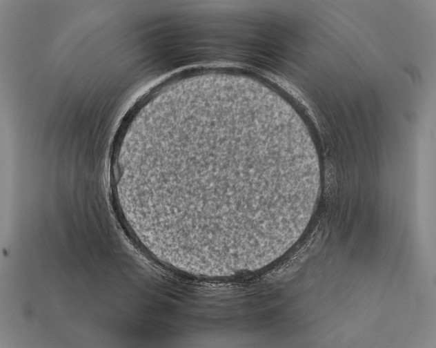 X0000112400935200909251433