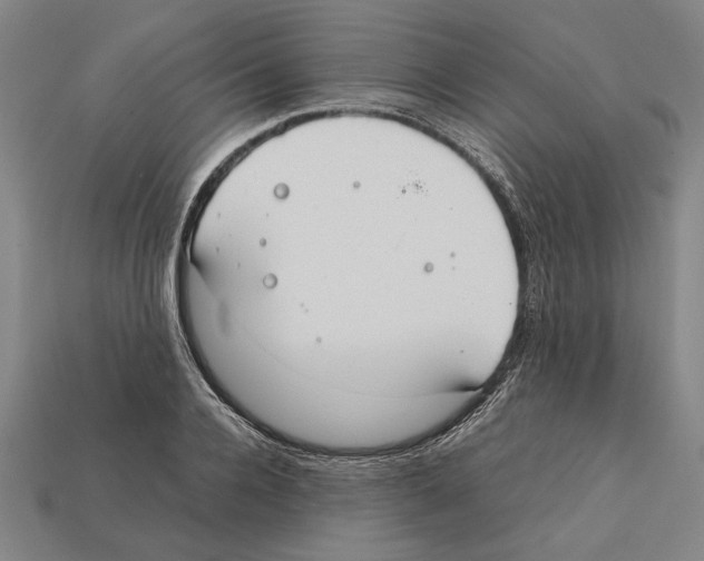 X0000112400936200909251433
