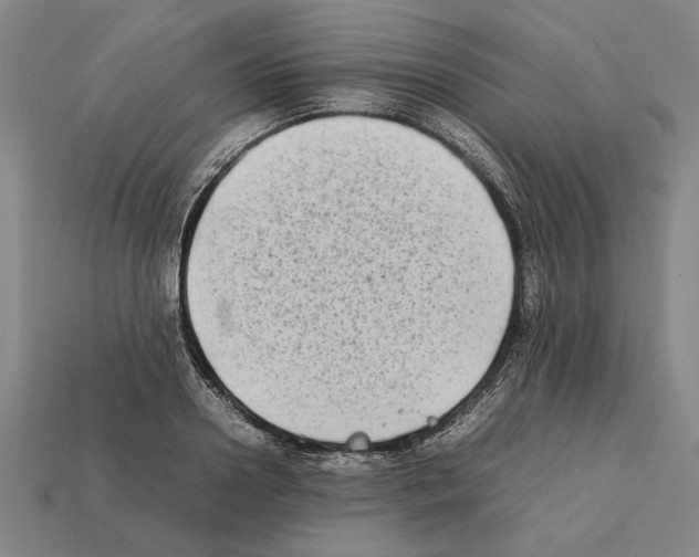 X0000112400938200909251433