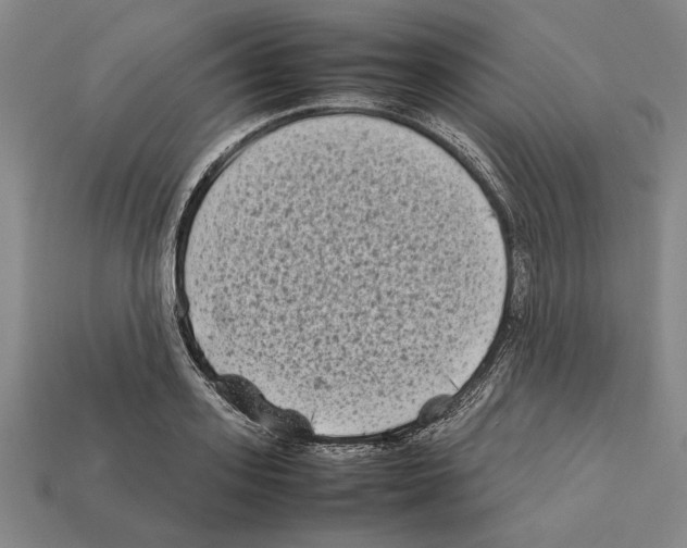 X0000112400939200909251433