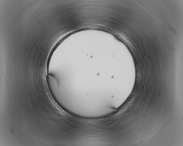 X0000112400940200909251433