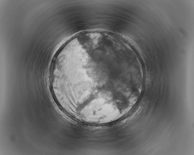 X0000112400941200909251433