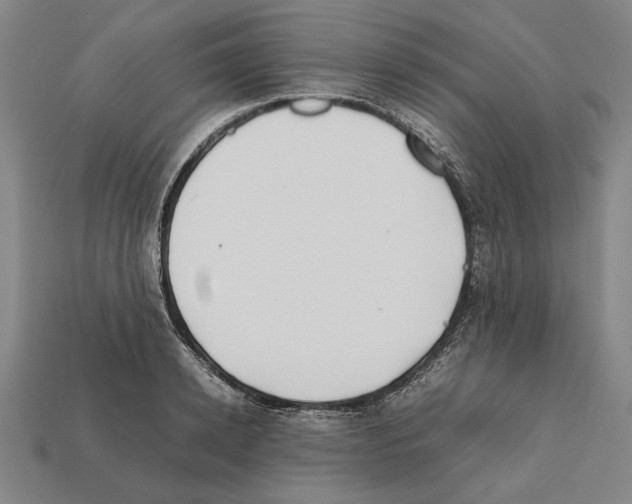 X0000112400942200909251433