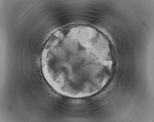 X0000112400945200909251433