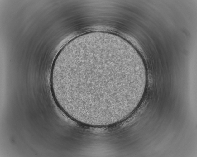 X0000112400946200909251433