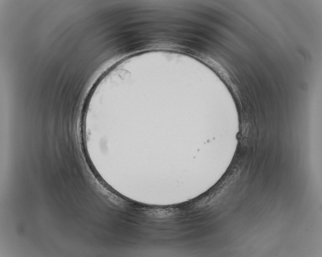 X0000112400947200909251433