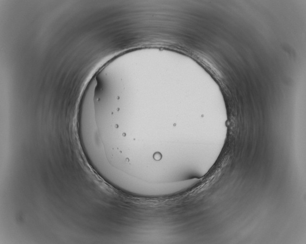 X0000112400948200909251433