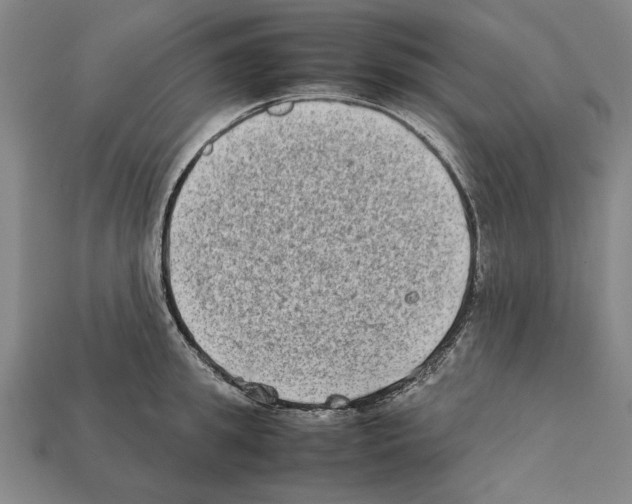 X0000112400949200909251433