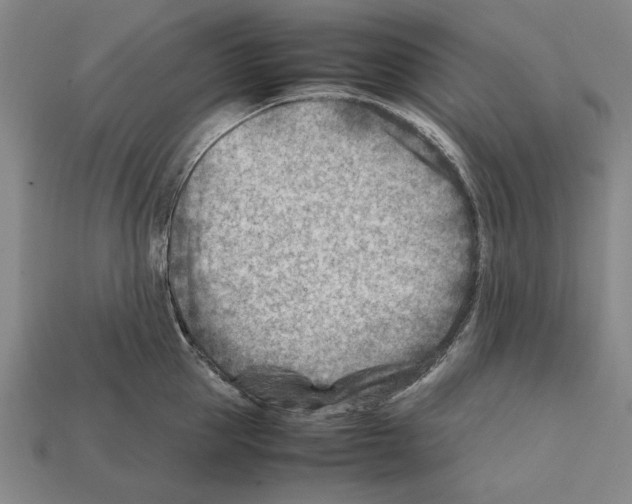 X0000112400953200909251433