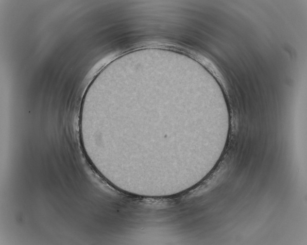X0000112400954200909251433