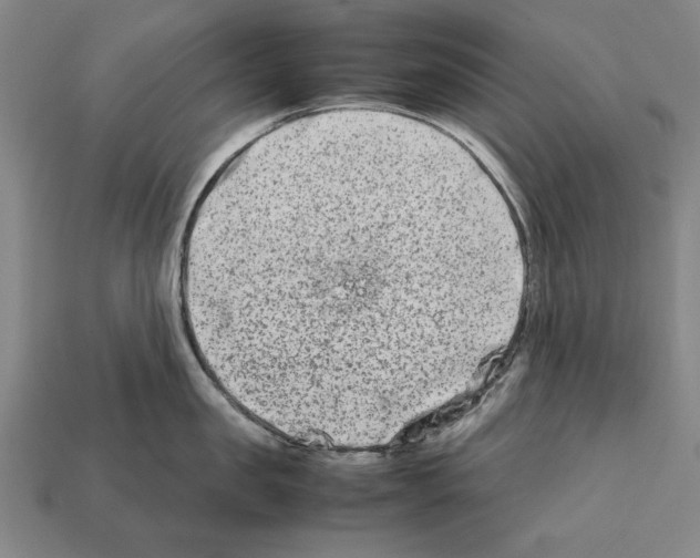 X0000112400957200909251433