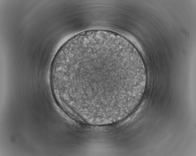 X0000112400958200909251433