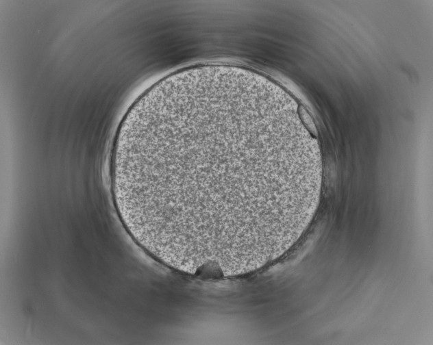 X0000112400959200909251433