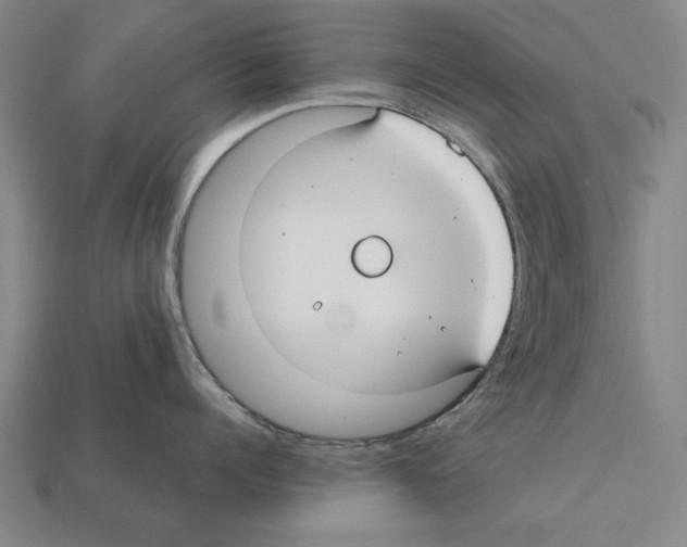 X0000112400960200909251433