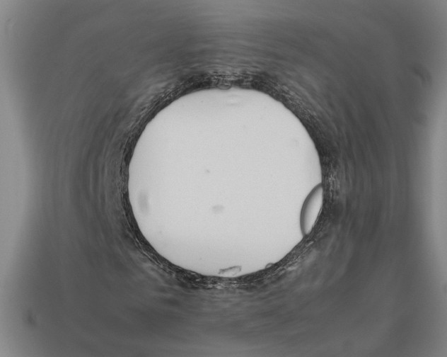 X0000112400961200909251432