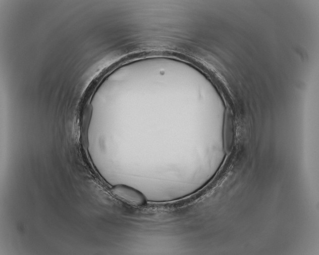 X0000112400973200909251432