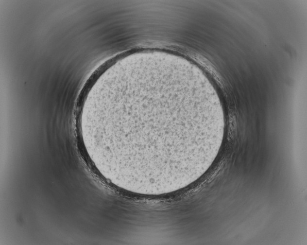 X0000112400976200909251432