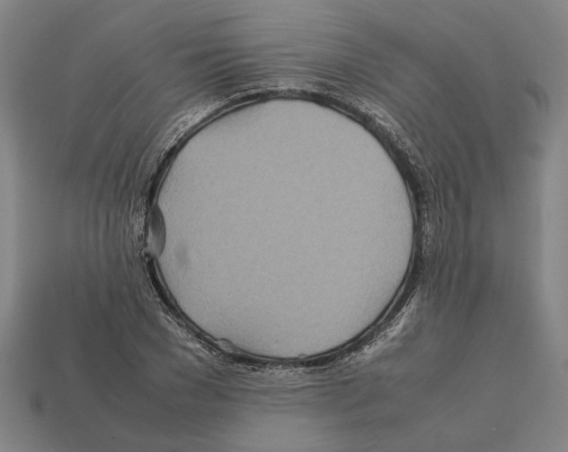 X0000112400977200909251432