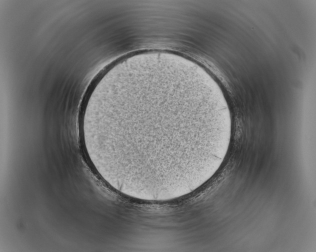 X0000112400980200909251432