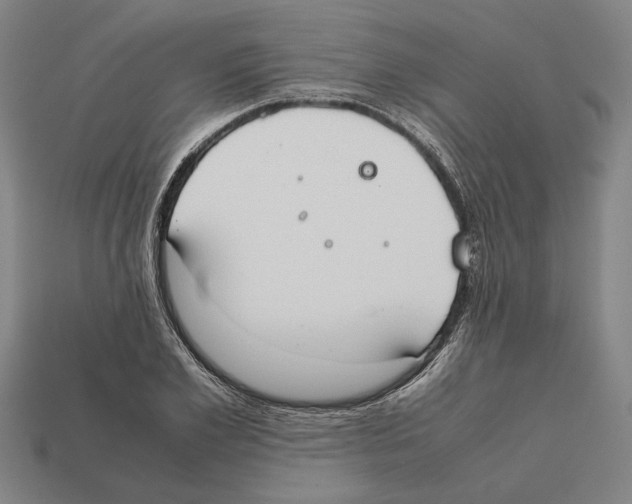 X0000112400981200909251432