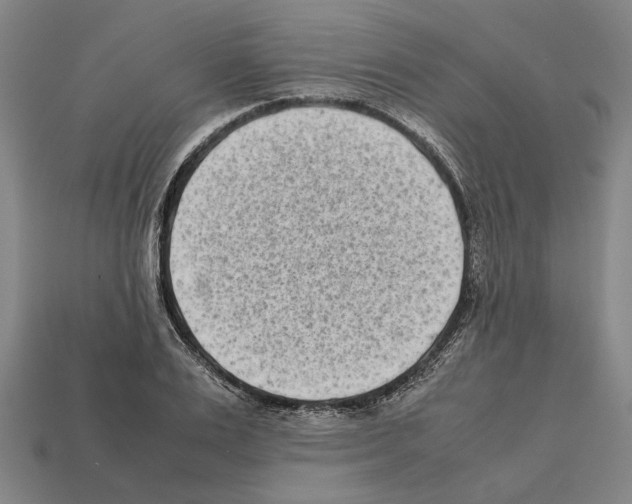 X0000112400983200909251432