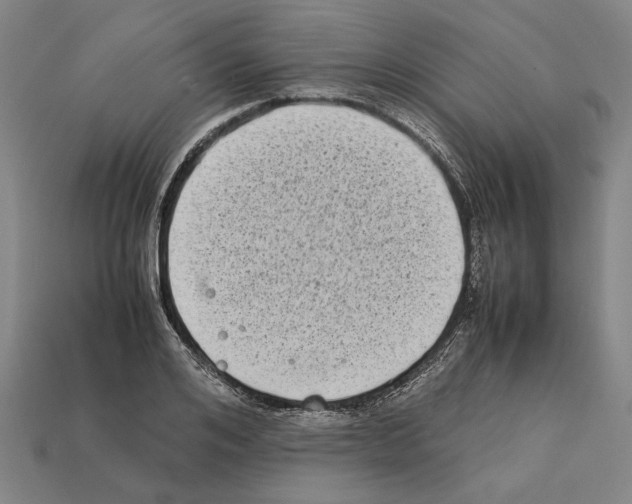 X0000112400984200909251432